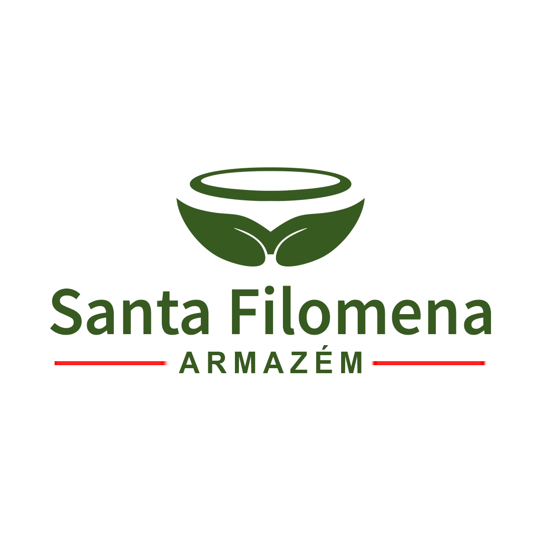 Santa Filomena
